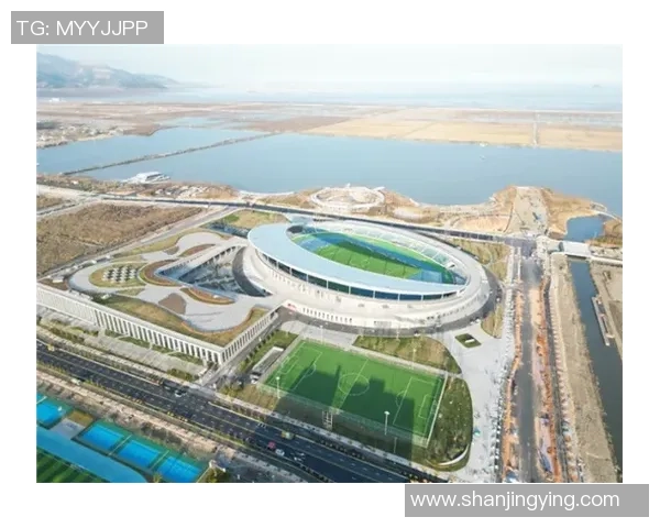 防城港足球场全新升级计划揭幕打造城市体育新地标与全民健身新空间