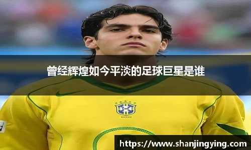 曾经辉煌如今平淡的足球巨星是谁