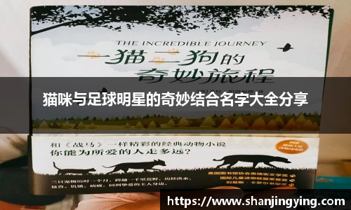 猫咪与足球明星的奇妙结合名字大全分享